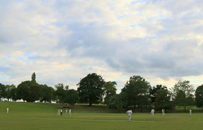Hilly Fields