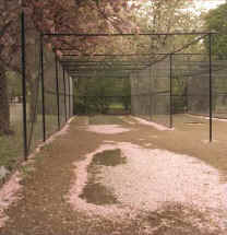 Vic Park nets in Spring