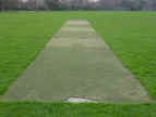 Pitch 1